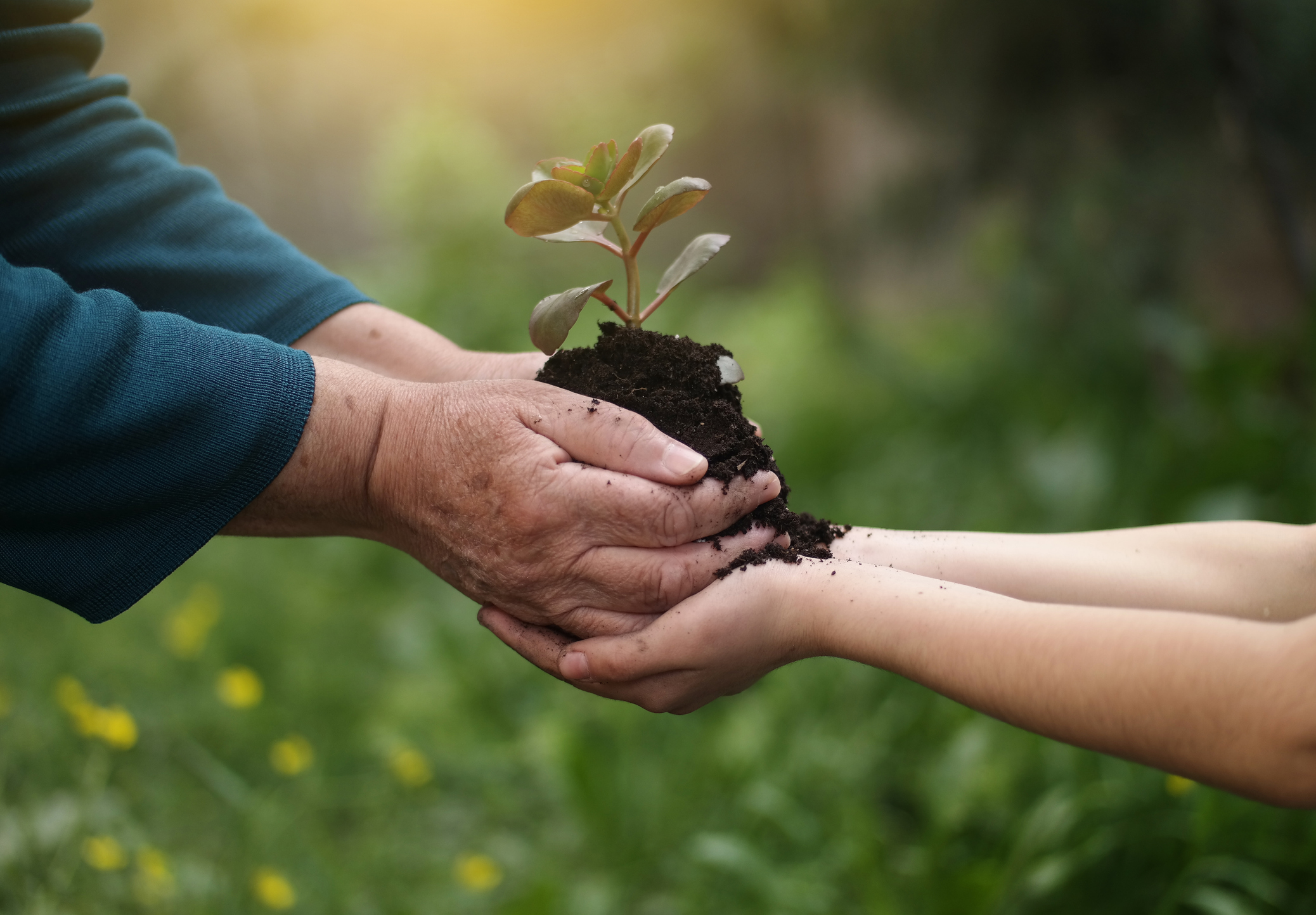 The Hand-Off: Smart Ways to Pass on Your Wealth to the Next Generation
